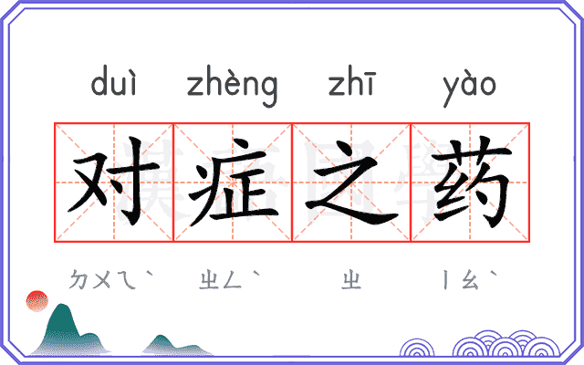 对症之药