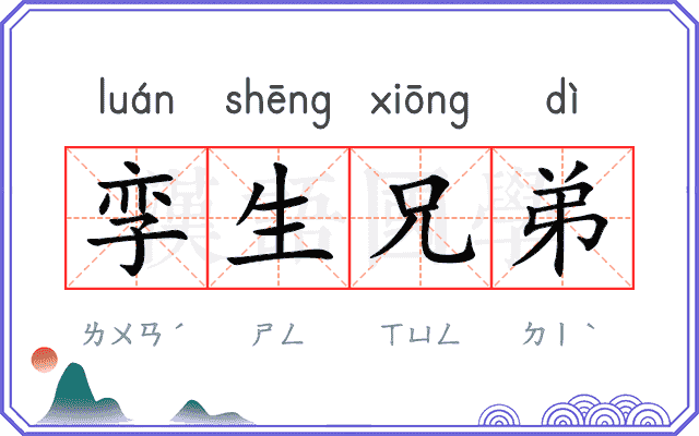 孪生兄弟