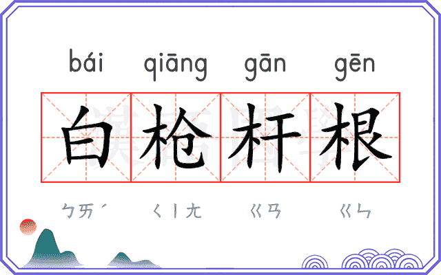 白枪杆根
