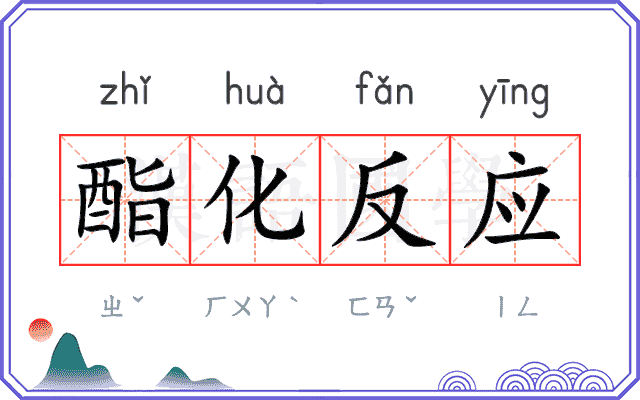酯化反应