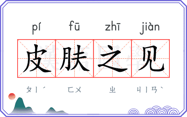 皮肤之见