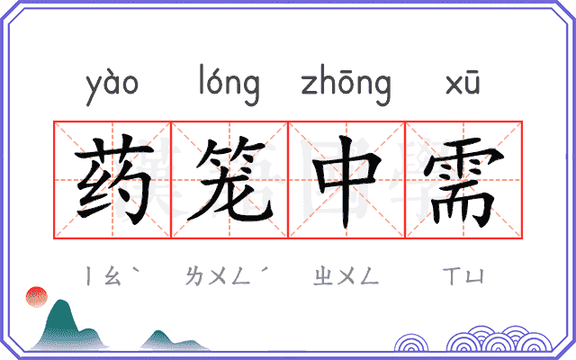 药笼中需