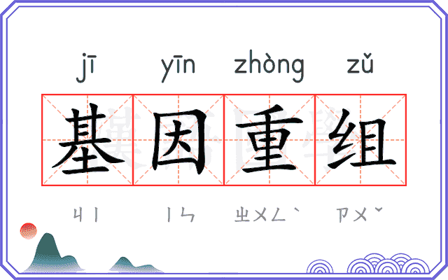 基因重组