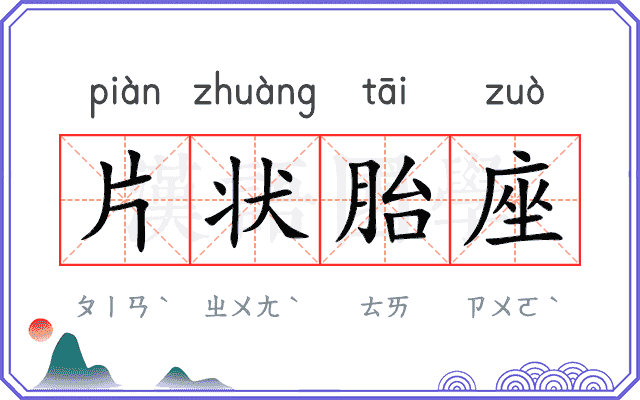 片状胎座