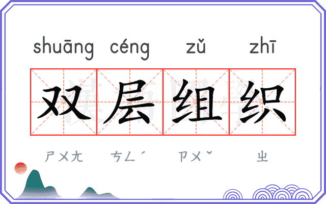 双层组织