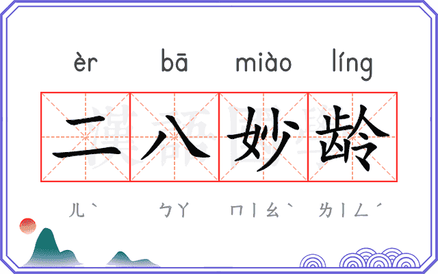 二八妙龄
