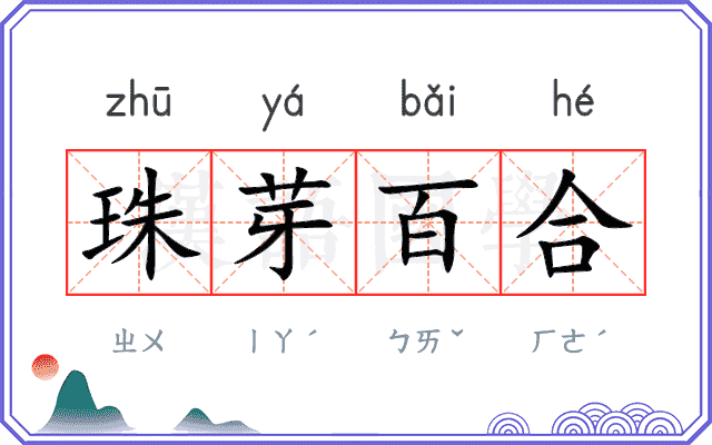 珠芽百合