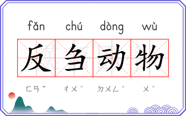 反刍动物