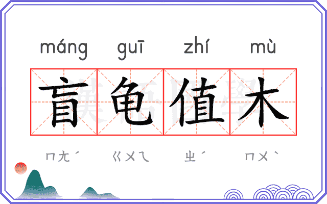 盲龟值木