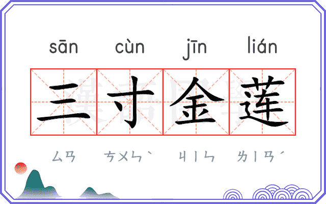 三寸金莲