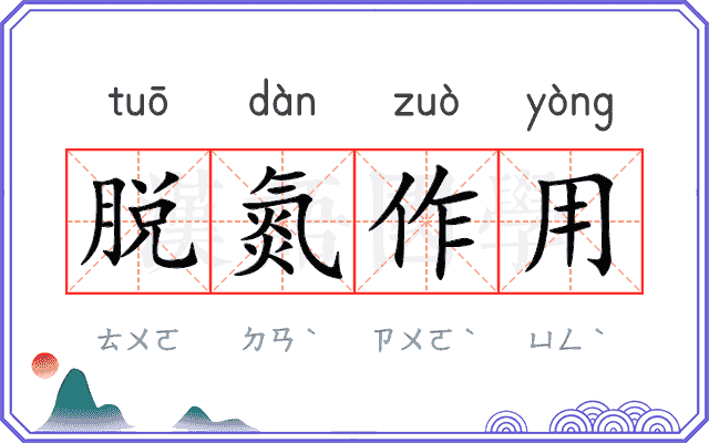 脱氮作用
