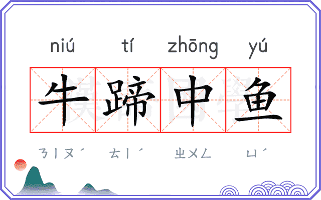 牛蹄中鱼