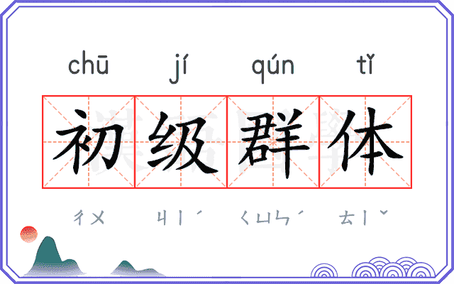 初级群体