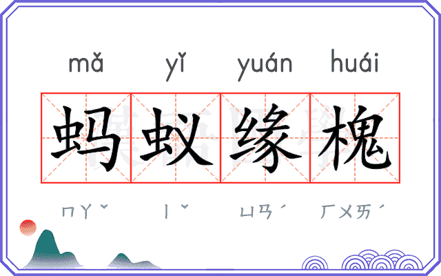 蚂蚁缘槐
