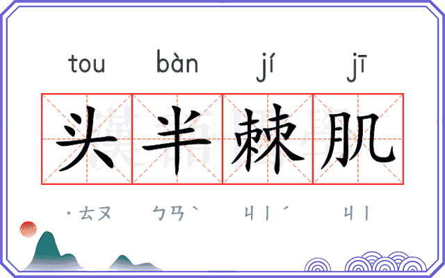 头半棘肌