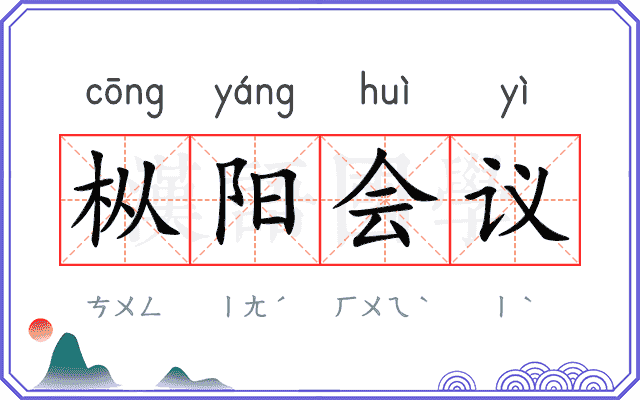 枞阳会议