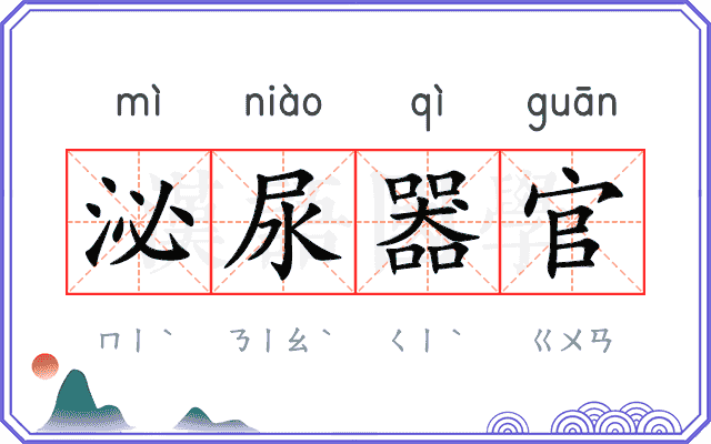 泌尿器官