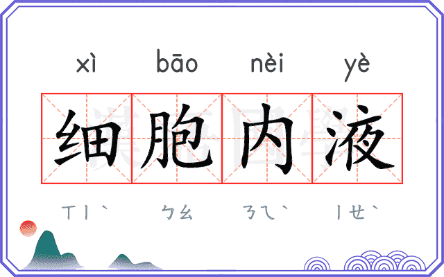 细胞内液