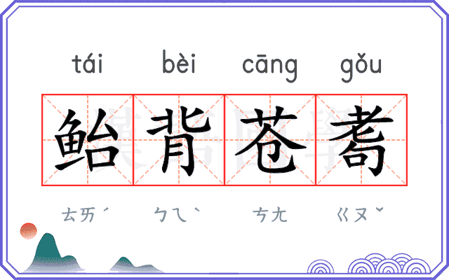 鲐背苍耈