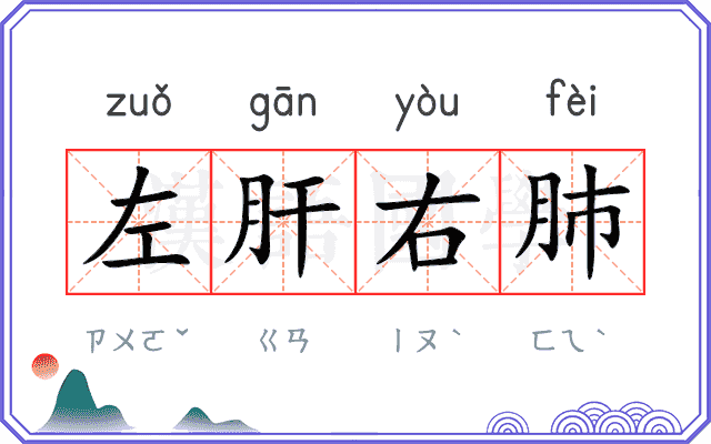 左肝右肺