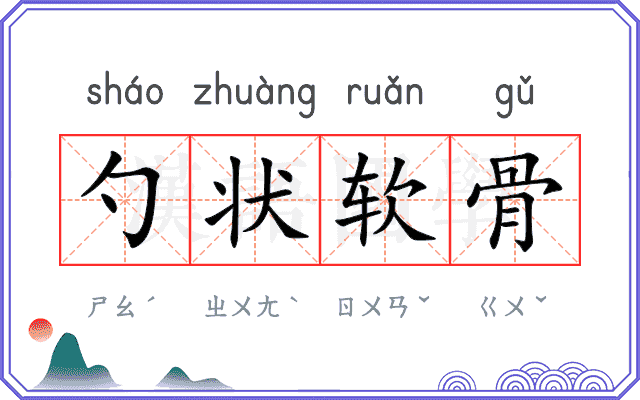 勺状软骨