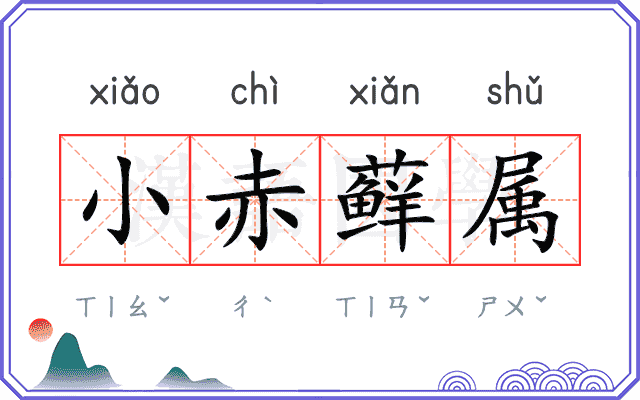 小赤藓属