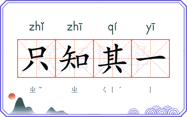 只知其一