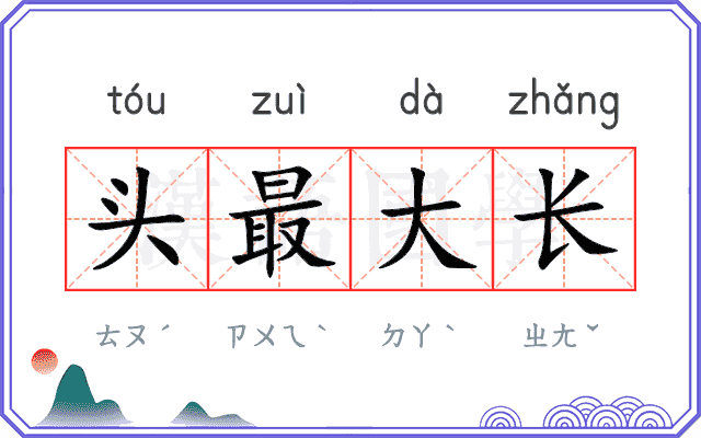 头最大长