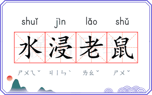 水浸老鼠