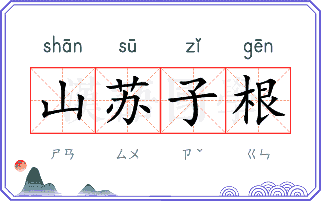 山苏子根