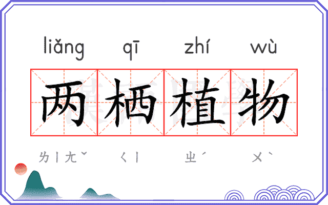 两栖植物