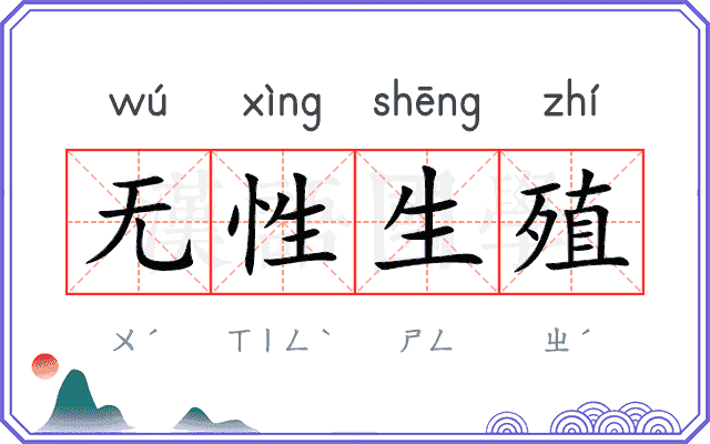 无性生殖
