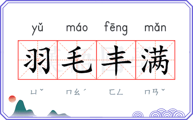 羽毛丰满
