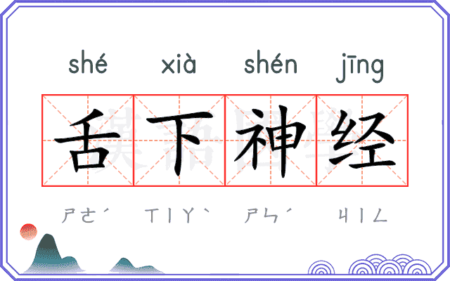 舌下神经