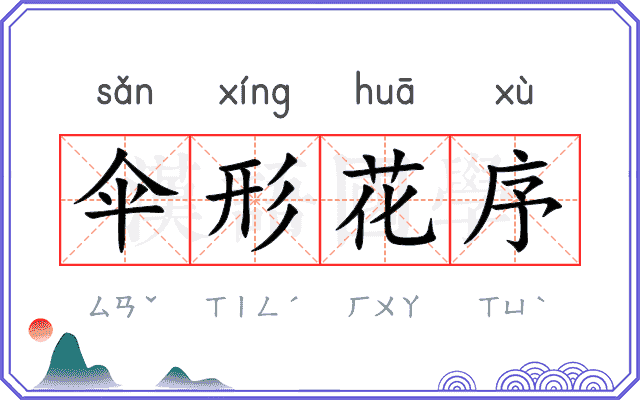 伞形花序
