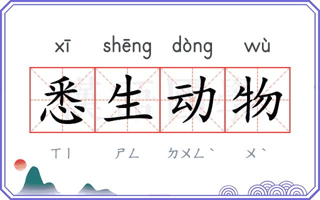 悉生动物