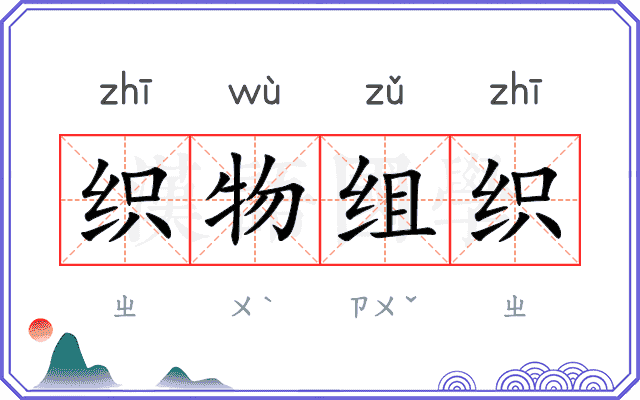织物组织