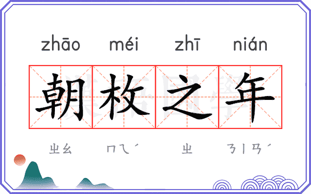 朝枚之年