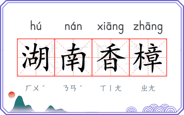 湖南香樟