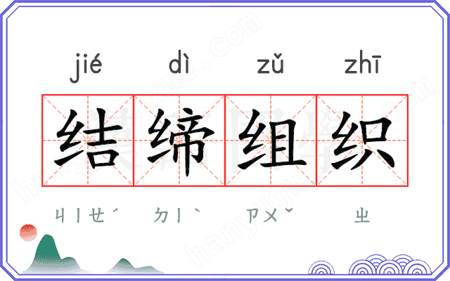 结缔组织