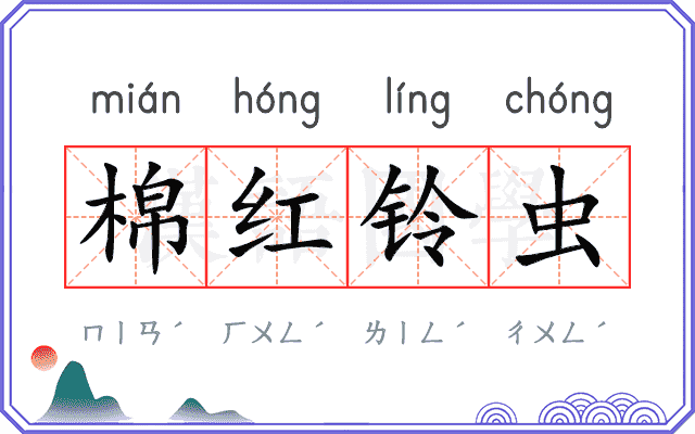 棉红铃虫
