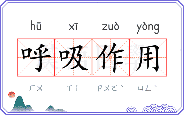 呼吸作用