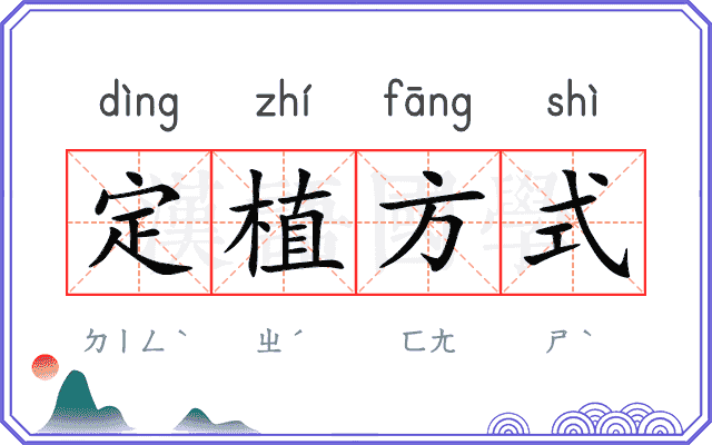 定植方式