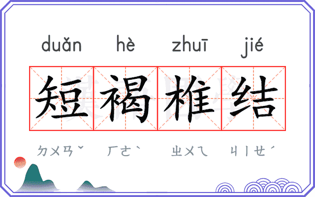 短褐椎结
