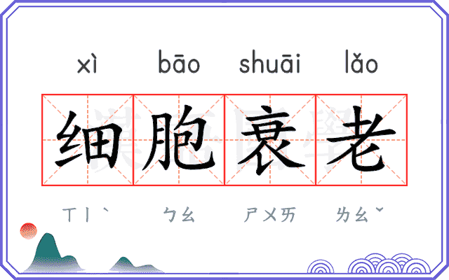 细胞衰老