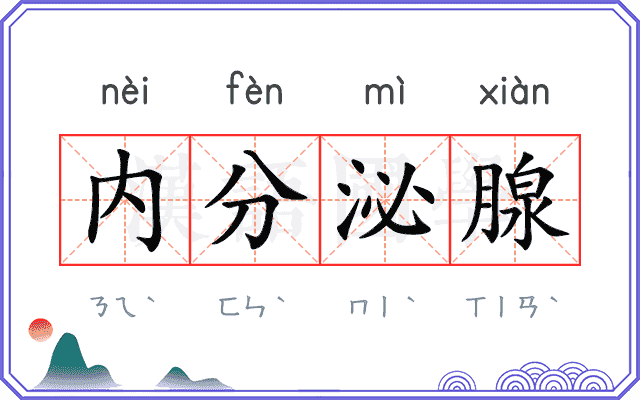 内分泌腺