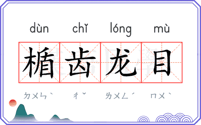 楯齿龙目