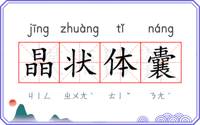晶状体囊