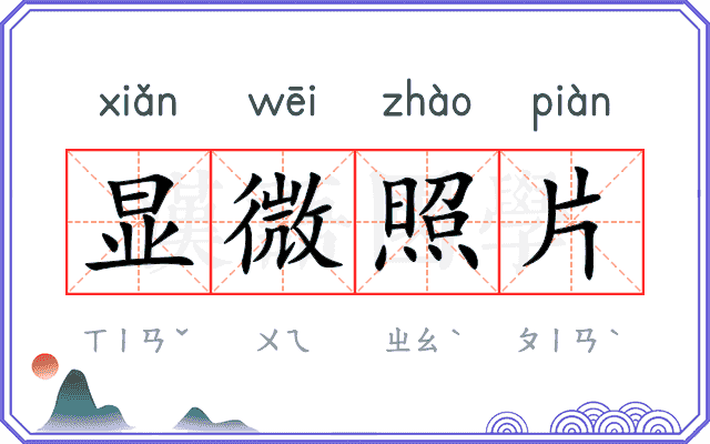 显微照片