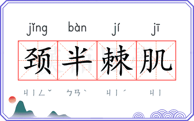 颈半棘肌